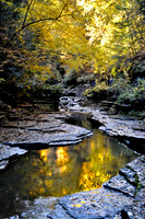 Watkins Glen