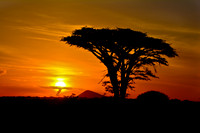 Tanzania